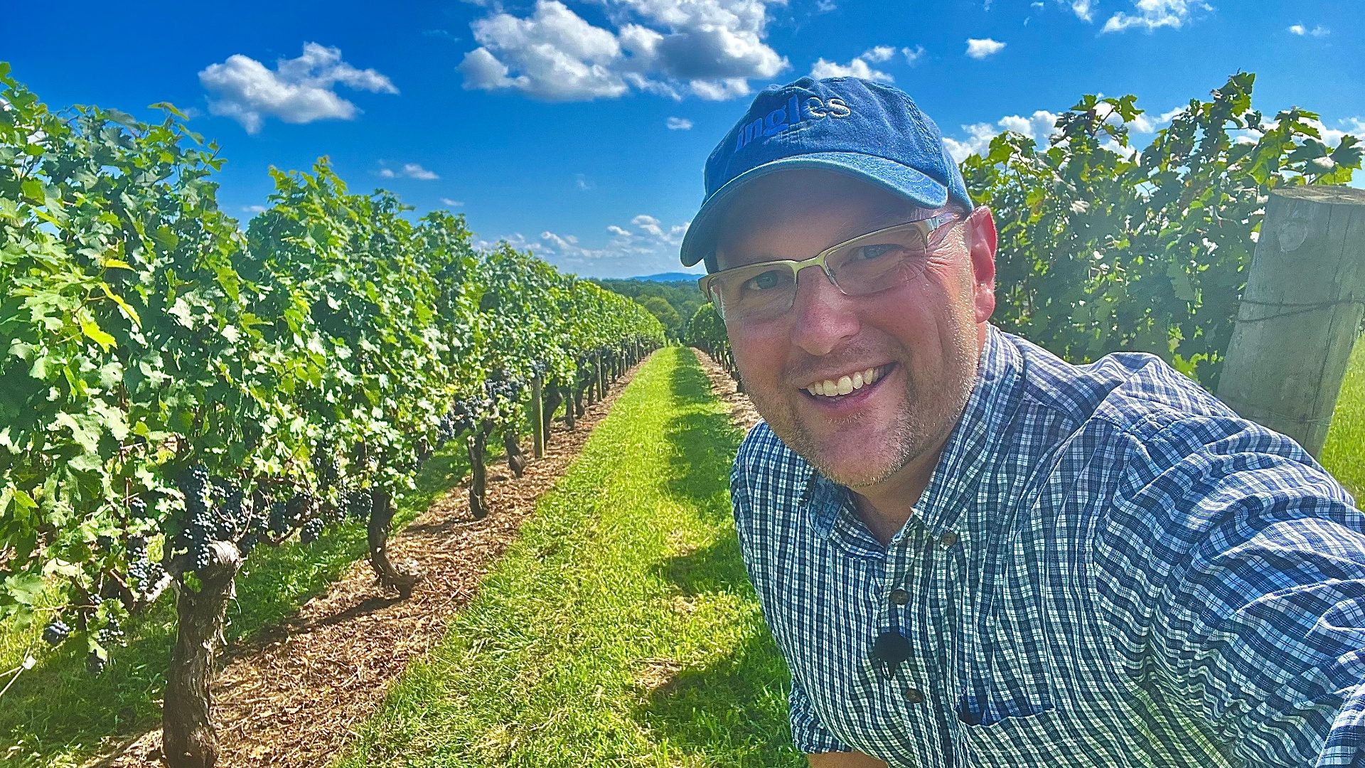 Episode 143 Shelton Vineyards Ingles Open Road Show