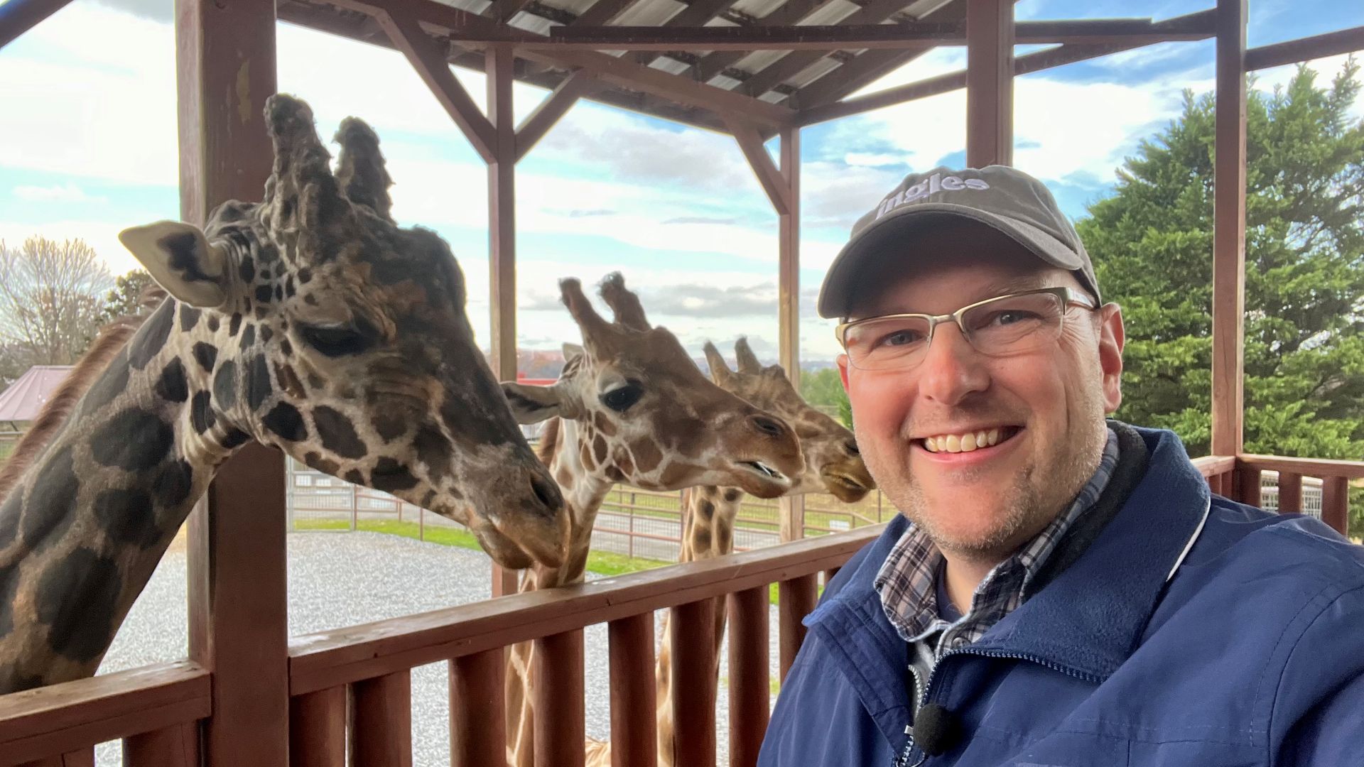 Episode 204: Brights Zoo - Ingles Open Road Show